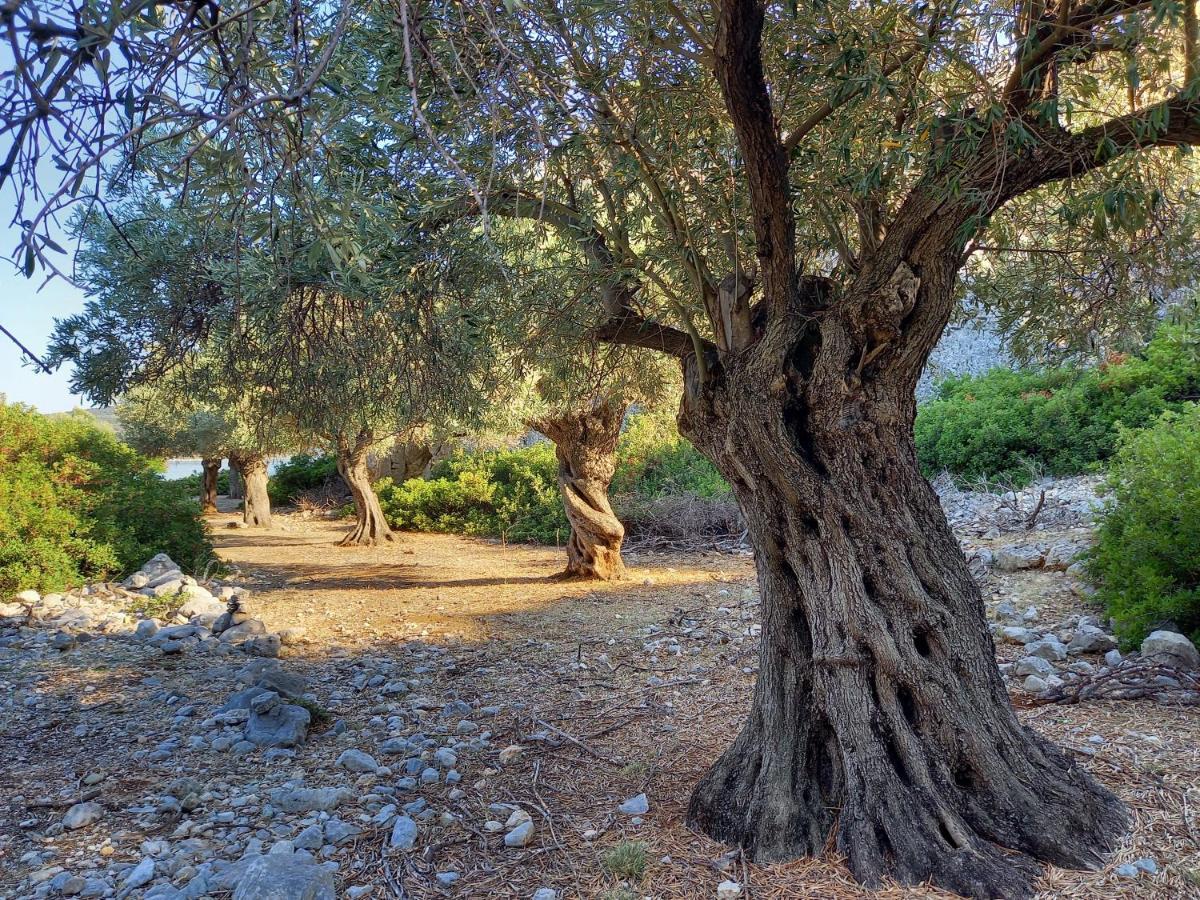 Chelidonia Βίλα Στενή Βάλα Αλοννήσου Εξωτερικό φωτογραφία